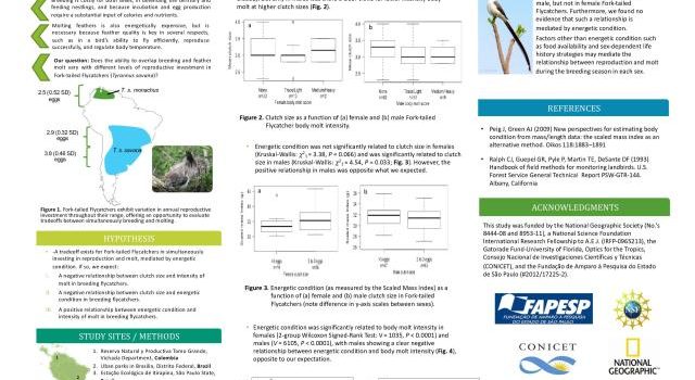 Poster presentations at NAOC2016 Poster presentations at NAOC2016