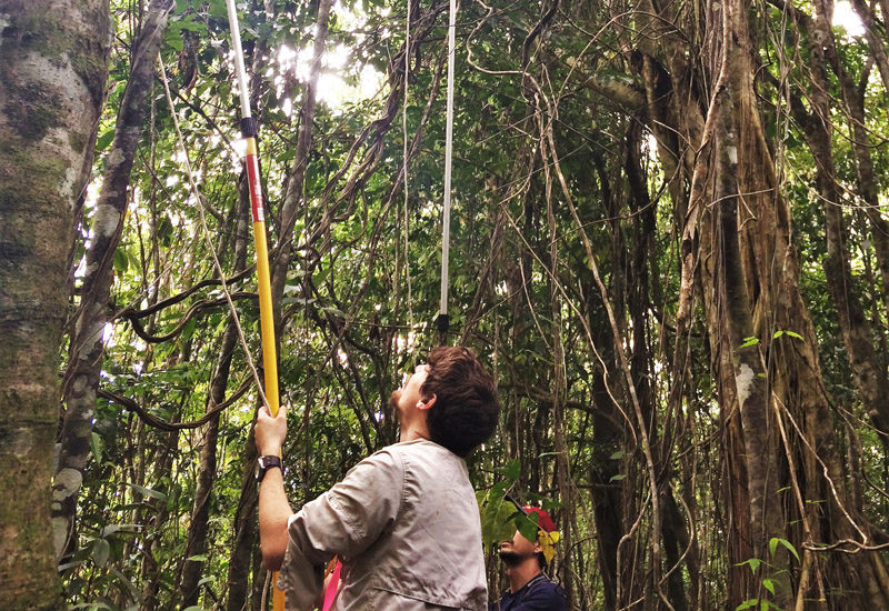(English) Recommendations for selecting an arthropod sampling method (English) Recommendations for selecting an arthropod sampling method