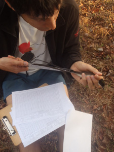 Sebastian measuring a flycatcher