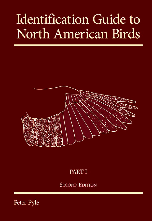 Bird Feathers: A Guide to North American Species