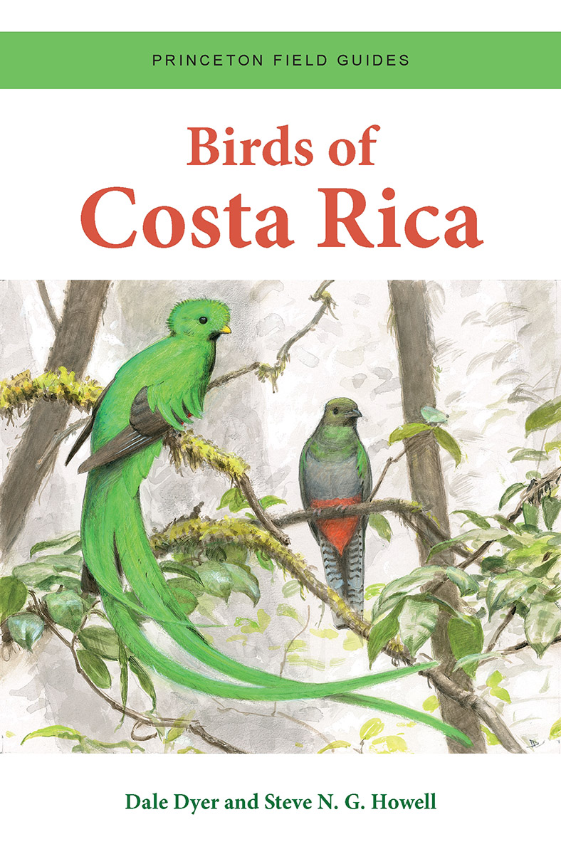 birds-of-costa-rica-association-of-field-ornithologists