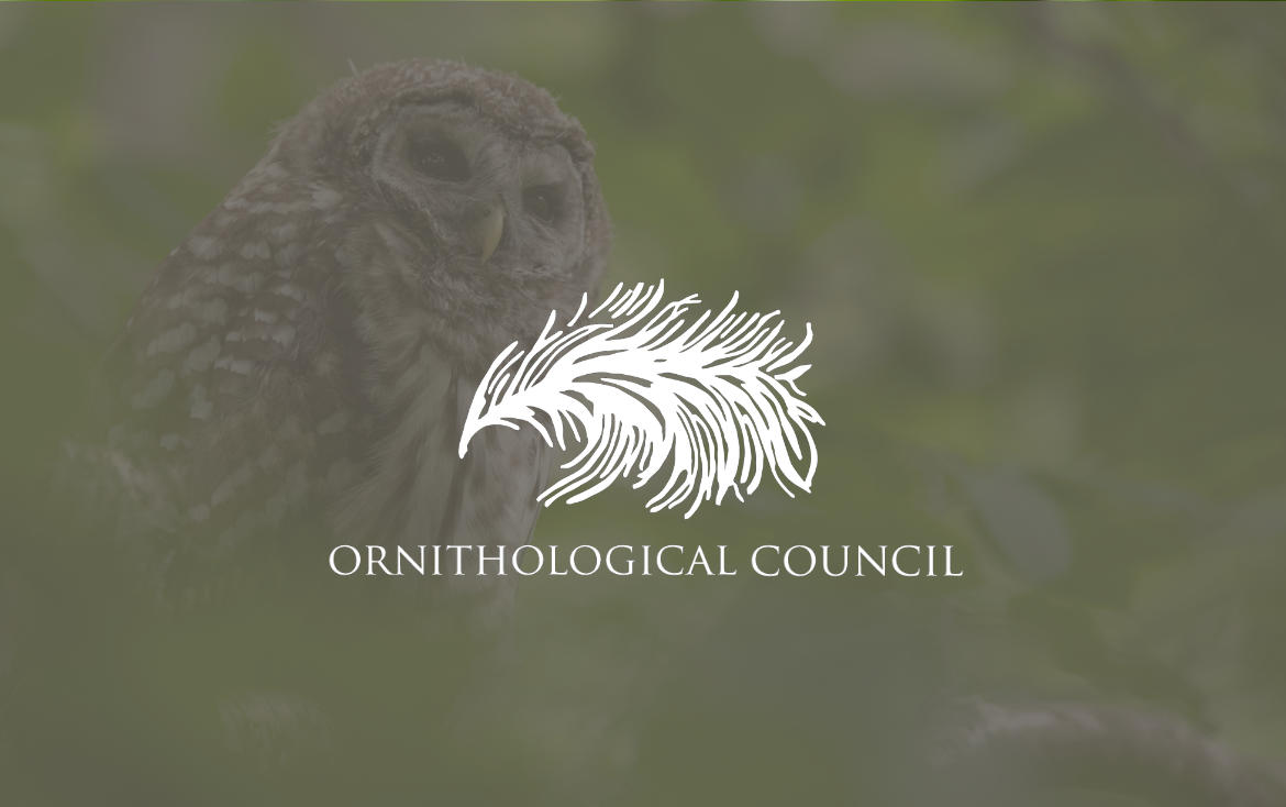 Ornithological Council bimonthly news brief: Jul-Aug 2024