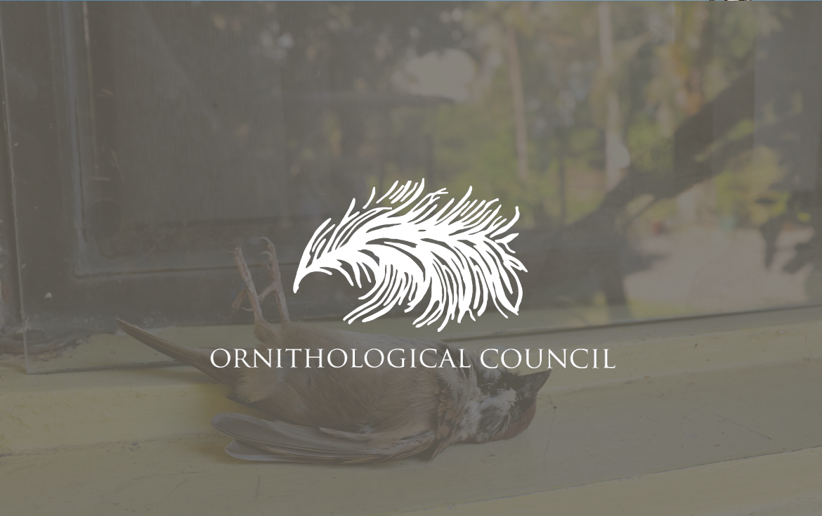 Ornithological Council bimonthly news brief: Sep-Oct 2024