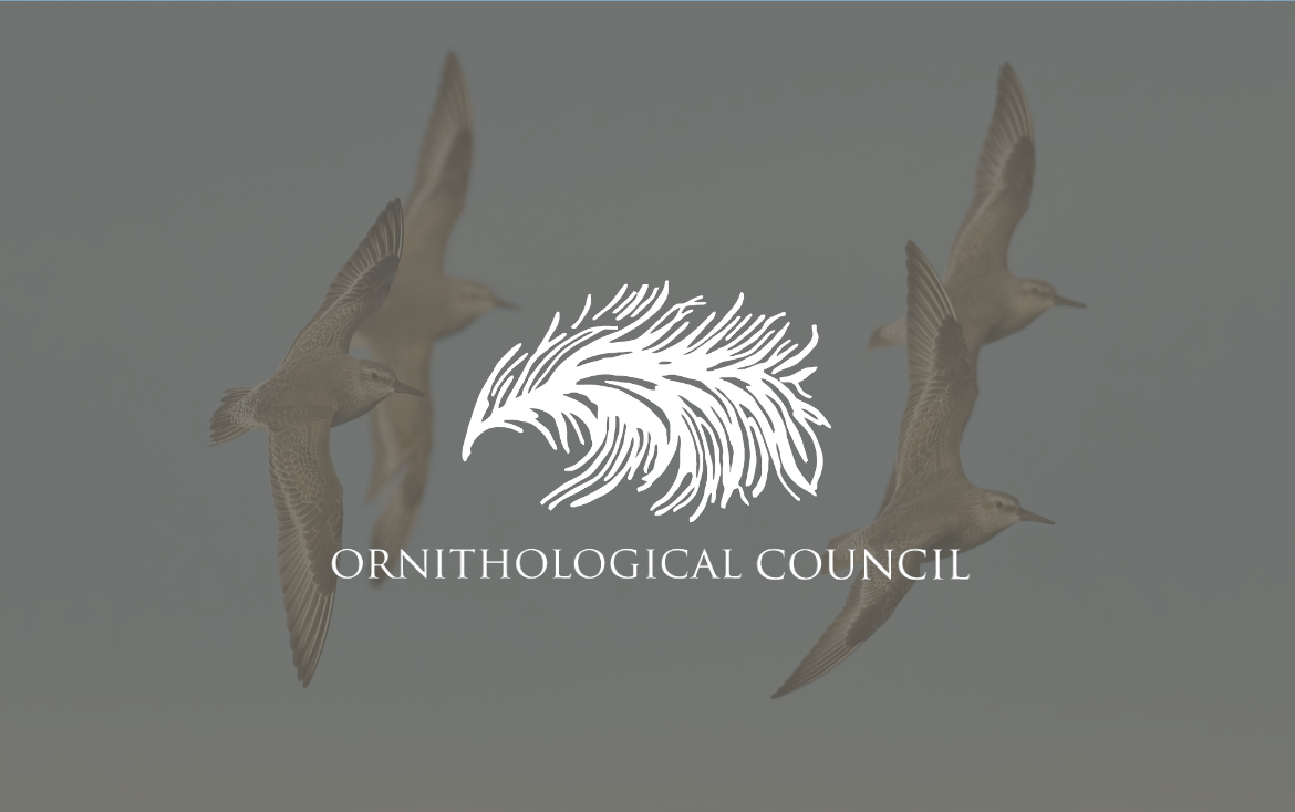 Ornithological Council bimonthly news brief: Nov-Dec 2024