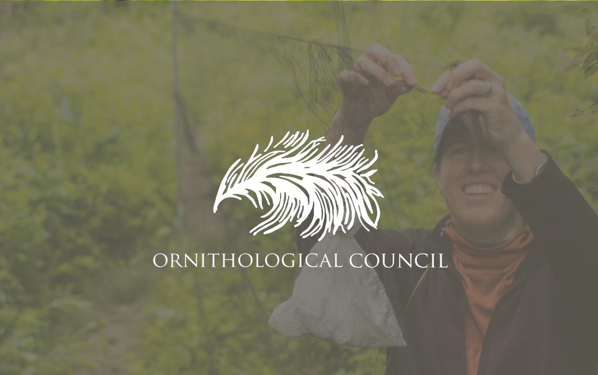 Ornithological Council bimonthly news brief: Jan-Feb 2025