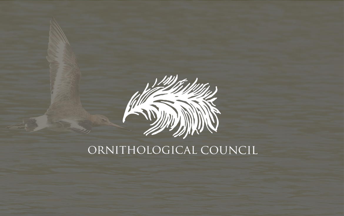 Ornithological Council bimonthly news brief: May-June 2025