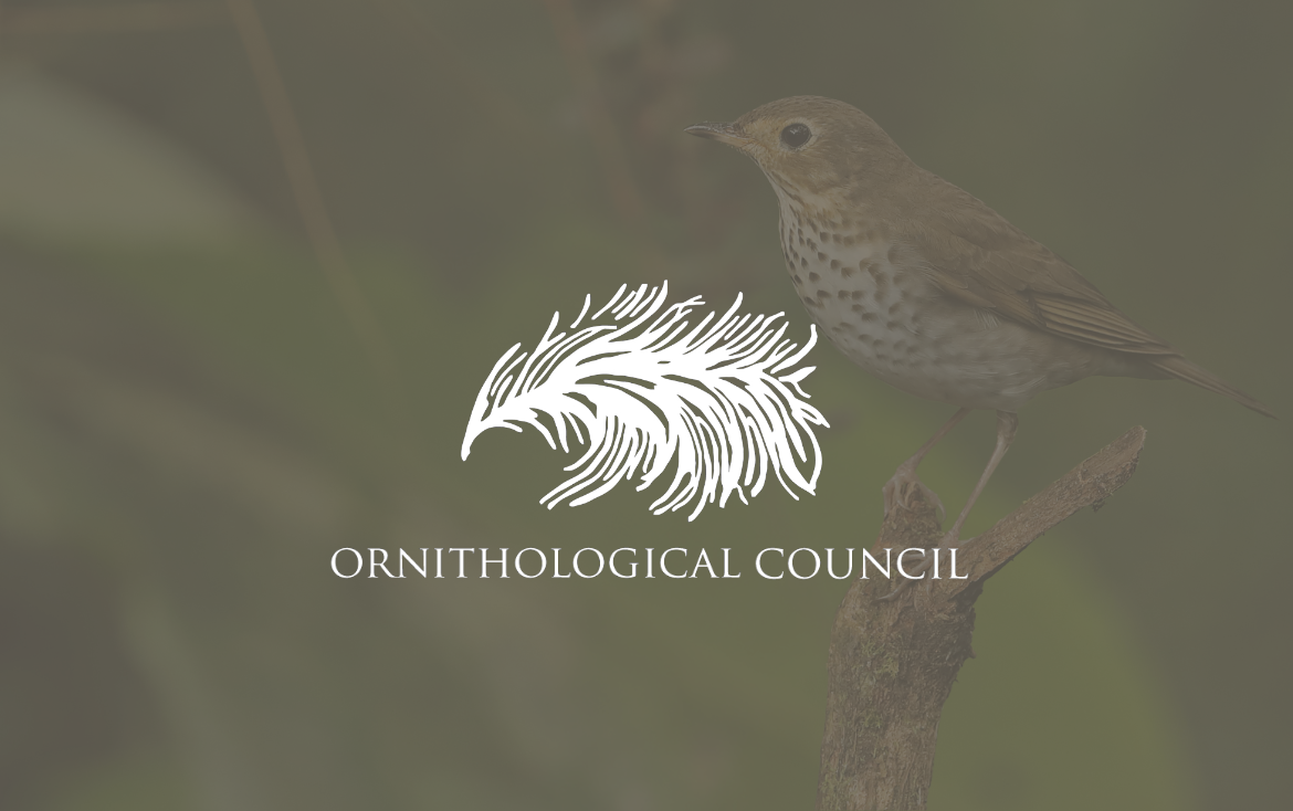 Ornithological Council bimonthly news brief: September-October 2025