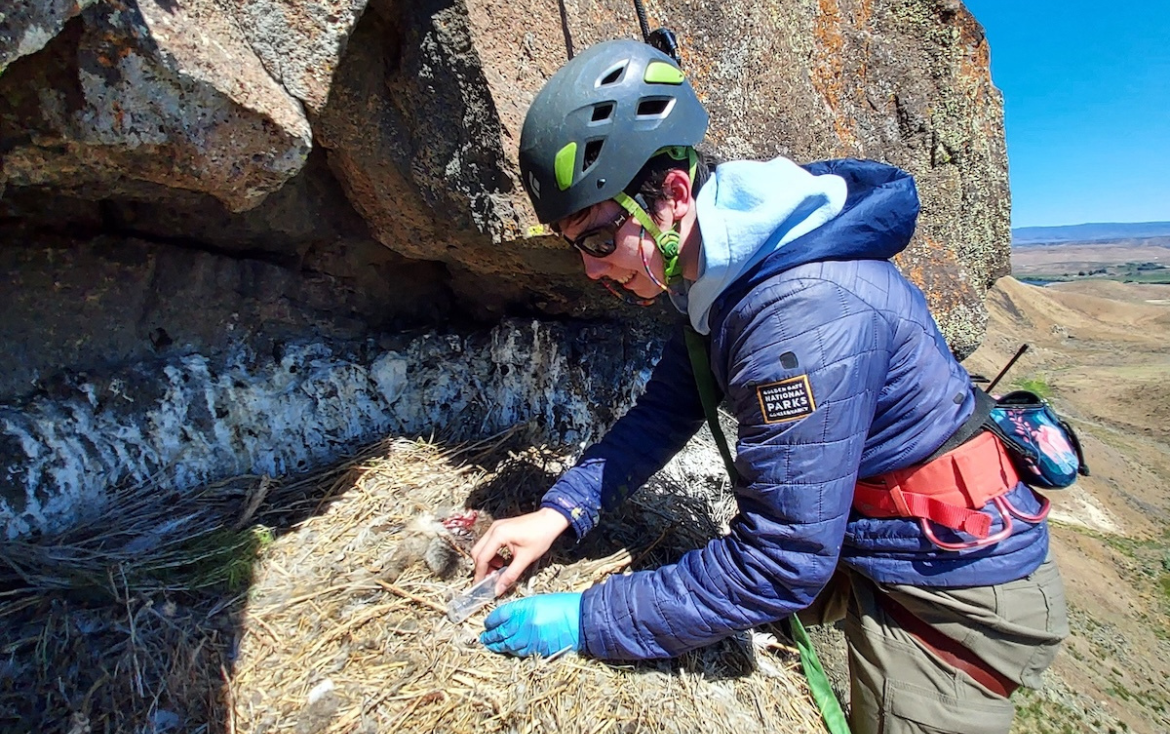 AFO grants & awards | Announcing the 2026 Bergstrom Grants recipients