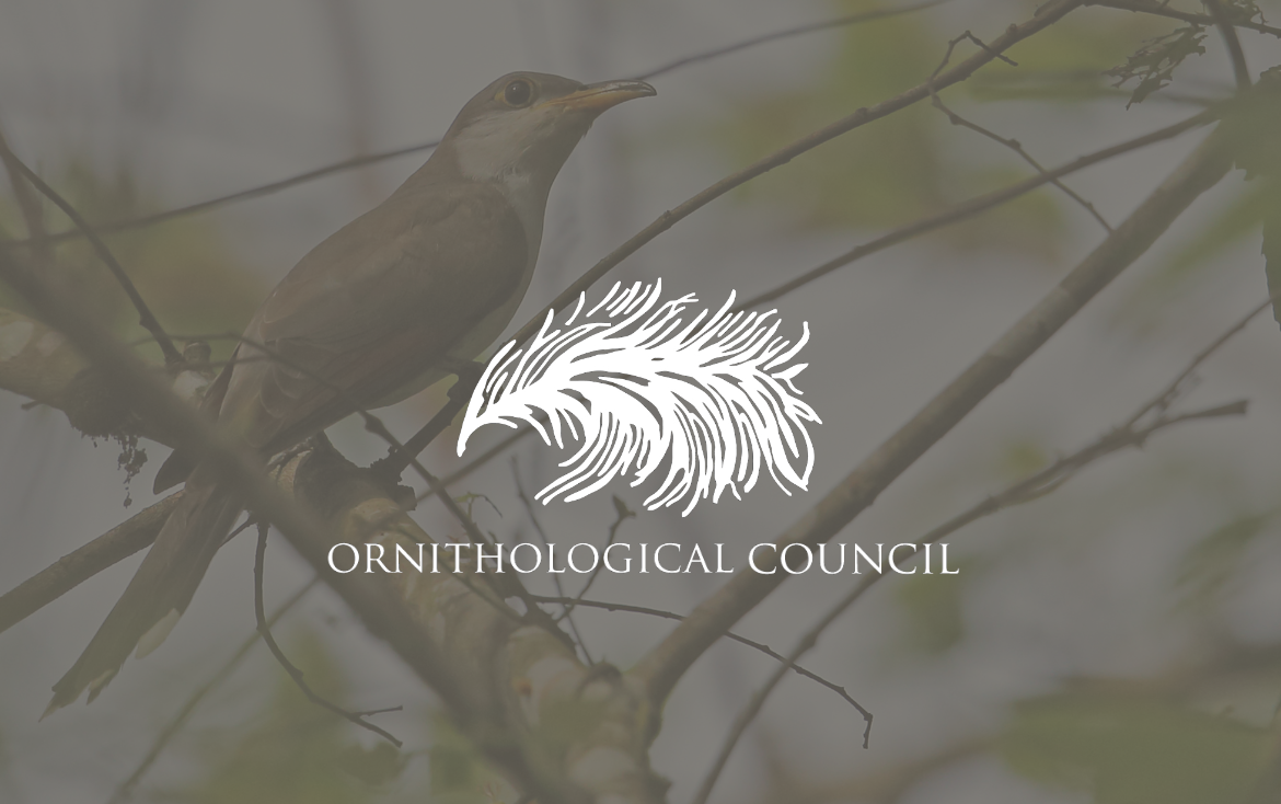 Ornithological Council bimonthly news brief: May-June 2026