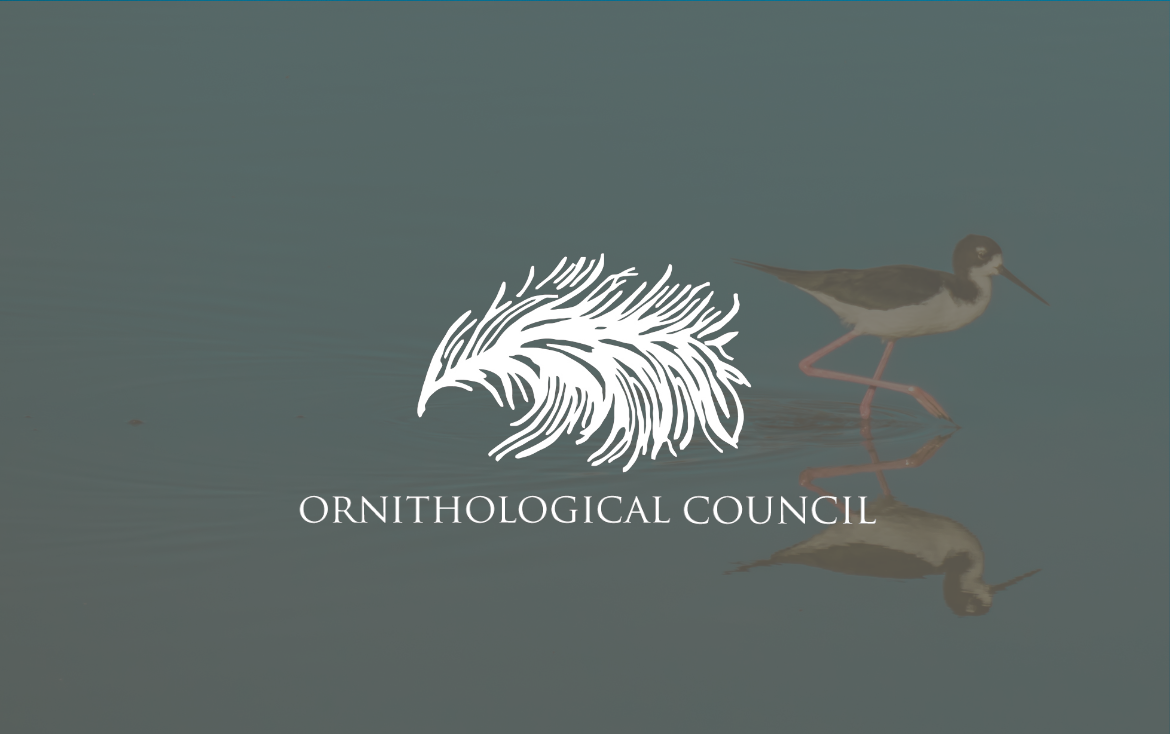 Ornithological Council bimonthly news brief: July-August 2026