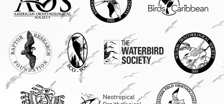 (English) Joint Society Statement on Ornithological Field Safety (English) Joint Society Statement on Ornithological Field Safety